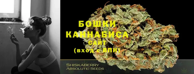 Шишки марихуана SATIVA & INDICA  Партизанск 